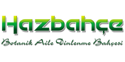 hazbahce